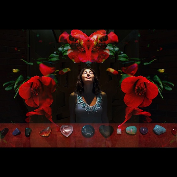 Barbie and Napoleon, your Posher and her pup - Picture 1 of 5